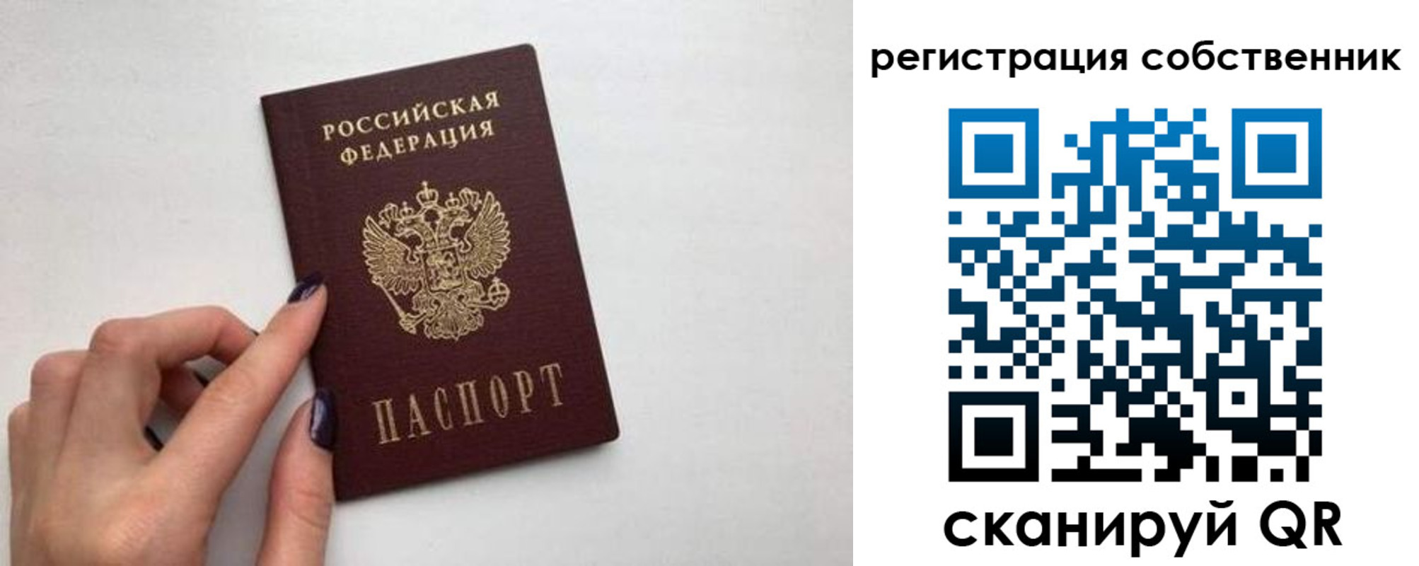 временная регистрация для всех в Новом Осколе